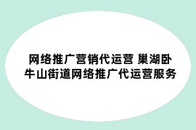 网络推广营销代运营 巢湖卧牛山街道网络推广代运营服务